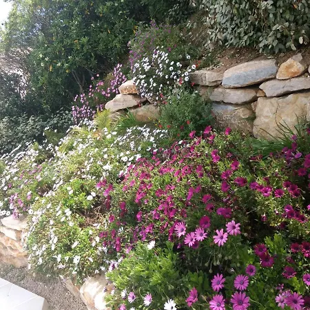 Quietude Πανσιόν 4*